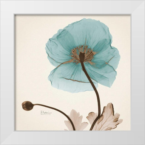 Iceland Poppy Believe White Modern Wood Framed Art Print by Koetsier, Albert