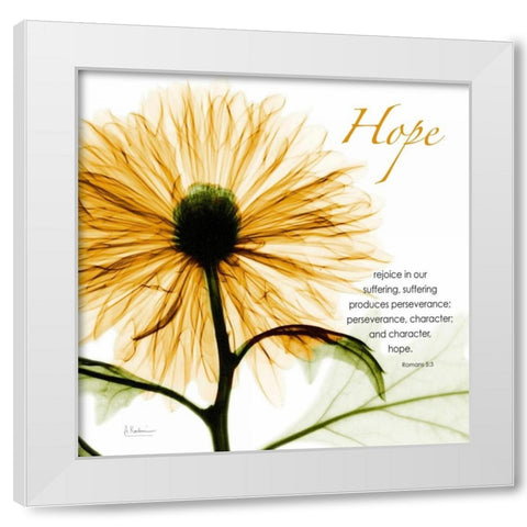 GoldChrysanthemumHOPE White Modern Wood Framed Art Print by Koetsier, Albert