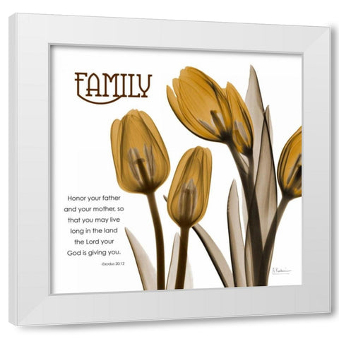 TulipsFamily White Modern Wood Framed Art Print by Koetsier, Albert