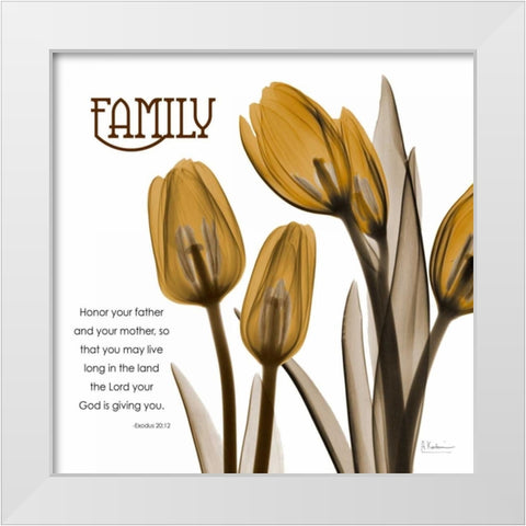 TulipsFamily White Modern Wood Framed Art Print by Koetsier, Albert