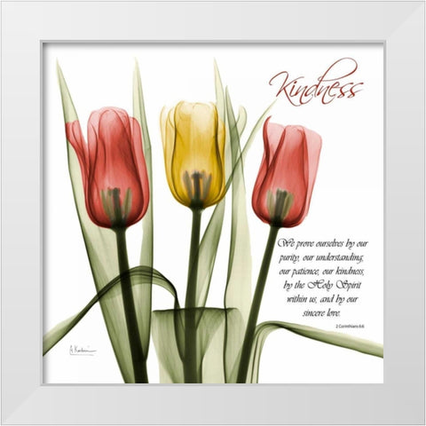 tulipsKindness White Modern Wood Framed Art Print by Koetsier, Albert