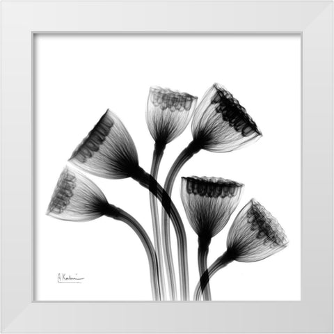 Lotus Lamps White Modern Wood Framed Art Print by Koetsier, Albert