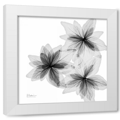 starburst White Modern Wood Framed Art Print by Koetsier, Albert