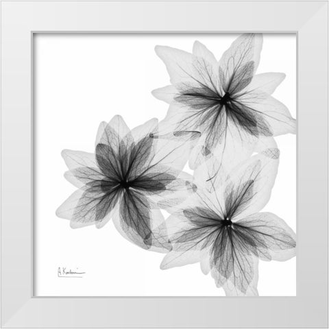 starburst White Modern Wood Framed Art Print by Koetsier, Albert