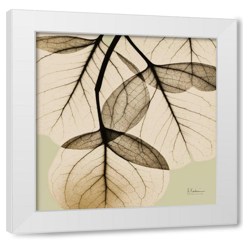 Eucalyptus White Modern Wood Framed Art Print by Koetsier, Albert