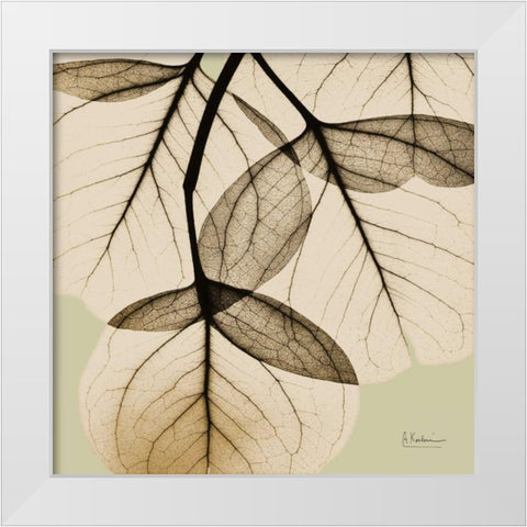 Eucalyptus White Modern Wood Framed Art Print by Koetsier, Albert