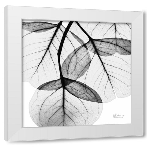 Eucalyptus White Modern Wood Framed Art Print by Koetsier, Albert