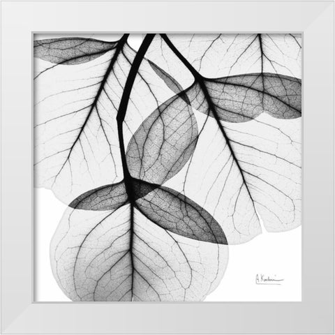 Eucalyptus White Modern Wood Framed Art Print by Koetsier, Albert