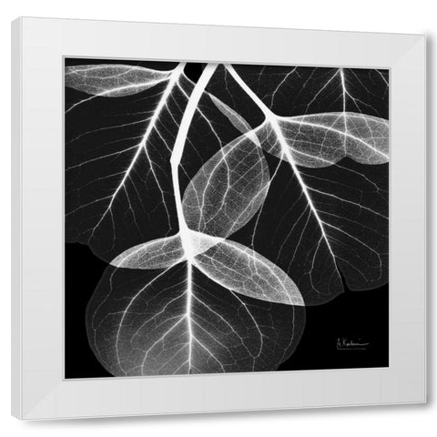 EucalyptusINVERTED White Modern Wood Framed Art Print by Koetsier, Albert