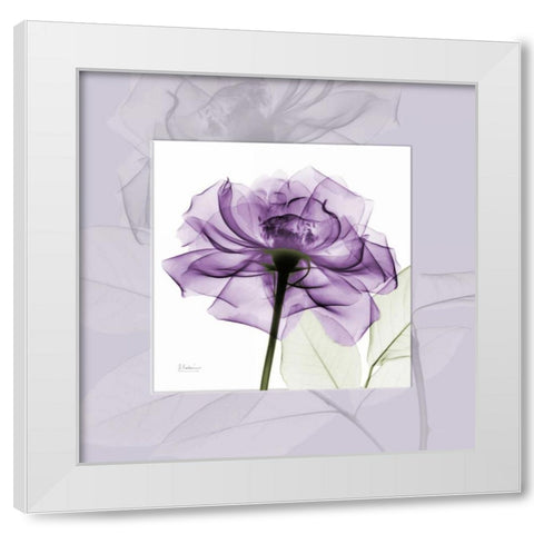 purpleRose White Modern Wood Framed Art Print by Koetsier, Albert