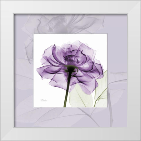 purpleRose White Modern Wood Framed Art Print by Koetsier, Albert