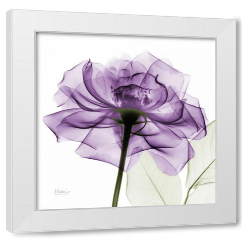 purpleRose White Modern Wood Framed Art Print by Koetsier, Albert