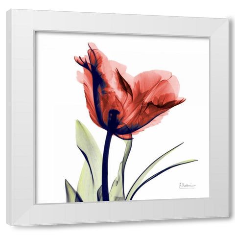 Tulip Red White Modern Wood Framed Art Print by Koetsier, Albert