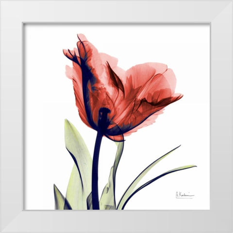 Tulip Red White Modern Wood Framed Art Print by Koetsier, Albert