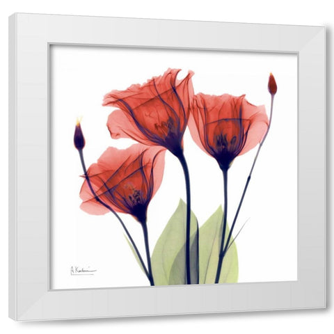 Gentian Red White Modern Wood Framed Art Print by Koetsier, Albert