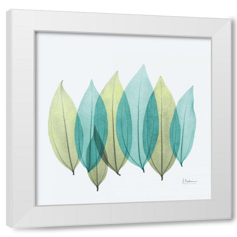 Coculus Leaf L348 White Modern Wood Framed Art Print by Koetsier, Albert