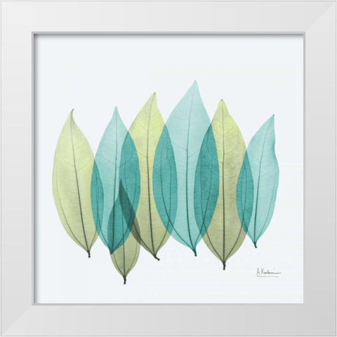 Coculus Leaf L348 White Modern Wood Framed Art Print by Koetsier, Albert