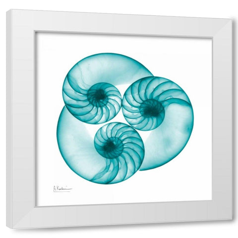 Nautilus Trio White Modern Wood Framed Art Print by Koetsier, Albert