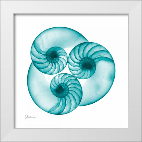 Nautilus Trio White Modern Wood Framed Art Print by Koetsier, Albert