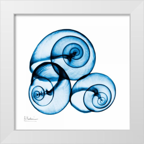 Electric Blue Moonsnails 1 White Modern Wood Framed Art Print by Koetsier, Albert