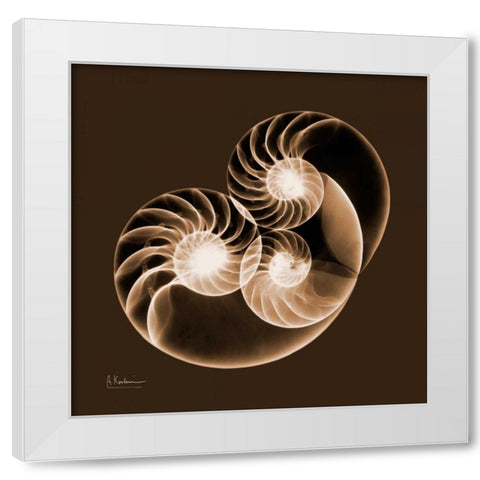 Sepia Nautilus 2 White Modern Wood Framed Art Print by Koetsier, Albert