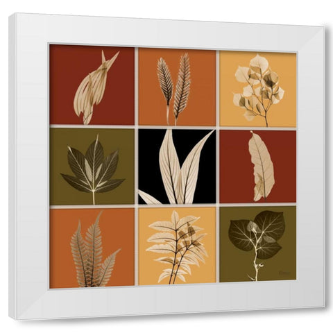 Harvest 9 patch 1 White Modern Wood Framed Art Print by Koetsier, Albert