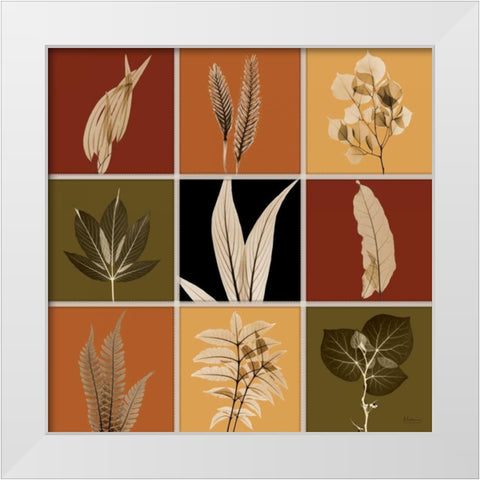 Harvest 9 patch 1 White Modern Wood Framed Art Print by Koetsier, Albert