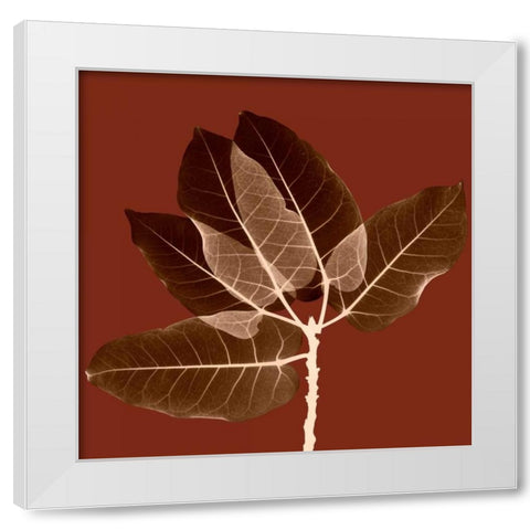 Harvest Leaves 1A White Modern Wood Framed Art Print by Koetsier, Albert