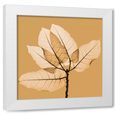 Harvest Leaves 1B White Modern Wood Framed Art Print by Koetsier, Albert