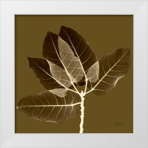 Harvest Leaves 1D White Modern Wood Framed Art Print by Koetsier, Albert
