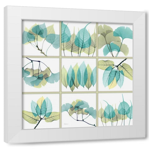 Citrus Leaves SC White Modern Wood Framed Art Print by Koetsier, Albert