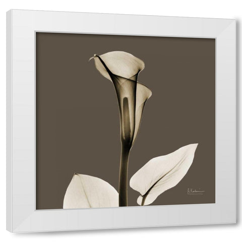 Slate Calla White Modern Wood Framed Art Print by Koetsier, Albert