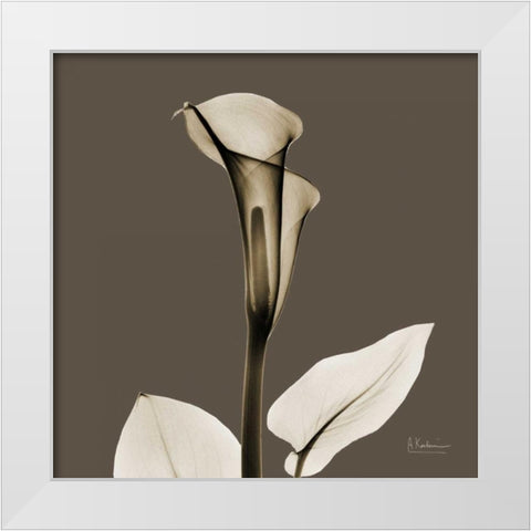 Slate Calla White Modern Wood Framed Art Print by Koetsier, Albert