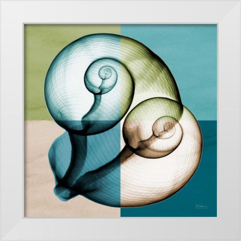 Blue Green Shell 1 White Modern Wood Framed Art Print by Koetsier, Albert