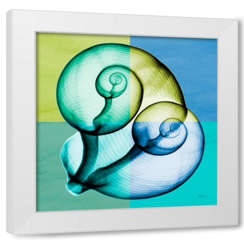 Blue Green Shell 1 White Modern Wood Framed Art Print by Koetsier, Albert