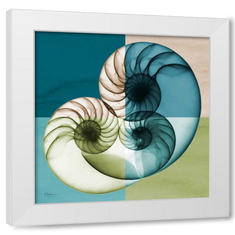 Blue Green Shell 2 White Modern Wood Framed Art Print by Koetsier, Albert