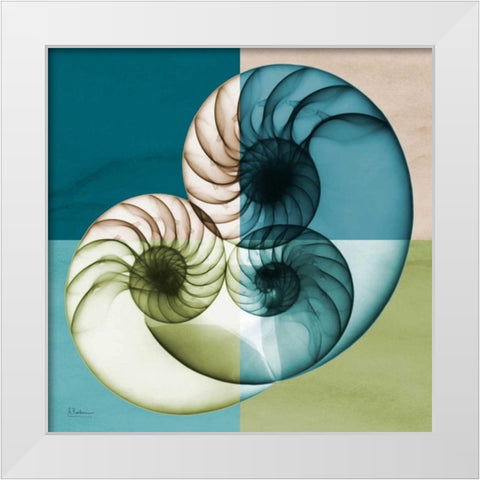 Blue Green Shell 2 White Modern Wood Framed Art Print by Koetsier, Albert