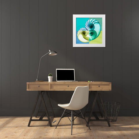 Blue Green Shell 2 White Modern Wood Framed Art Print by Koetsier, Albert