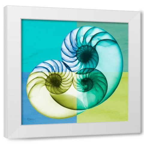 Blue Green Shell 2 White Modern Wood Framed Art Print by Koetsier, Albert