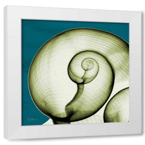 Moon Snail White Modern Wood Framed Art Print by Koetsier, Albert