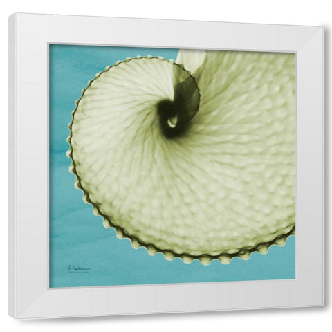 Argonaut White Modern Wood Framed Art Print by Koetsier, Albert