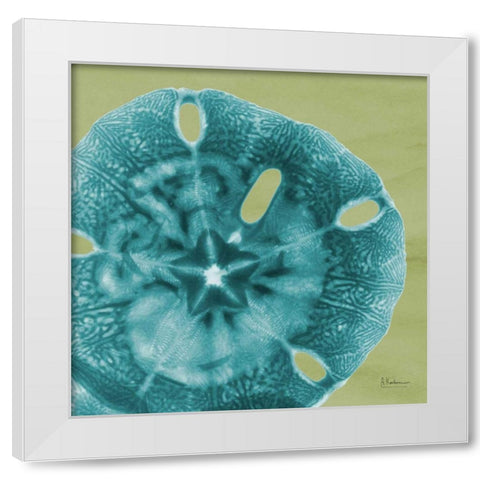 Sand Dollar White Modern Wood Framed Art Print by Koetsier, Albert