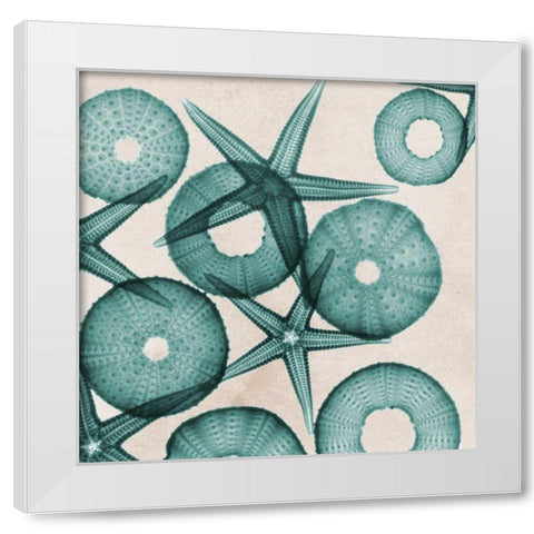 Under The Sea 3 White Modern Wood Framed Art Print by Koetsier, Albert