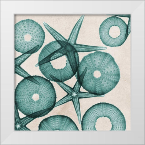 Under The Sea 3 White Modern Wood Framed Art Print by Koetsier, Albert