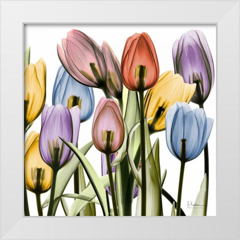 Tulipscape White Modern Wood Framed Art Print by Koetsier, Albert