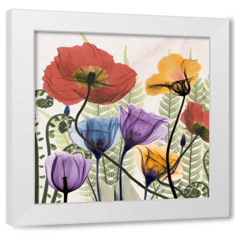 Flowers And Ferns White Modern Wood Framed Art Print by Koetsier, Albert