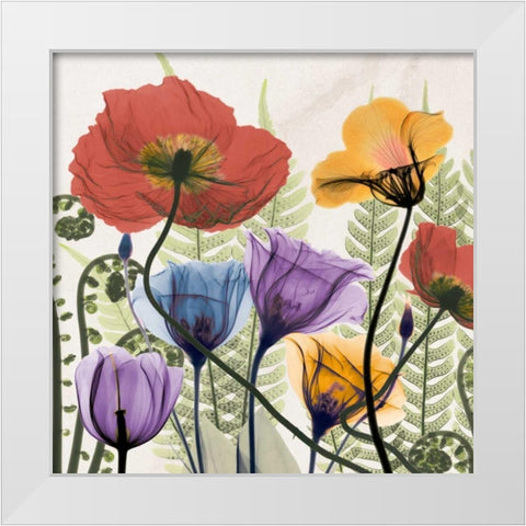 Flowers And Ferns White Modern Wood Framed Art Print by Koetsier, Albert