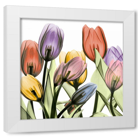 Tulipscape 2 White Modern Wood Framed Art Print by Koetsier, Albert