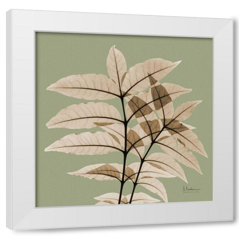 Tree Of Heaven White Modern Wood Framed Art Print by Koetsier, Albert