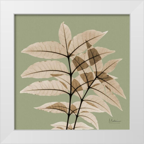 Tree Of Heaven White Modern Wood Framed Art Print by Koetsier, Albert